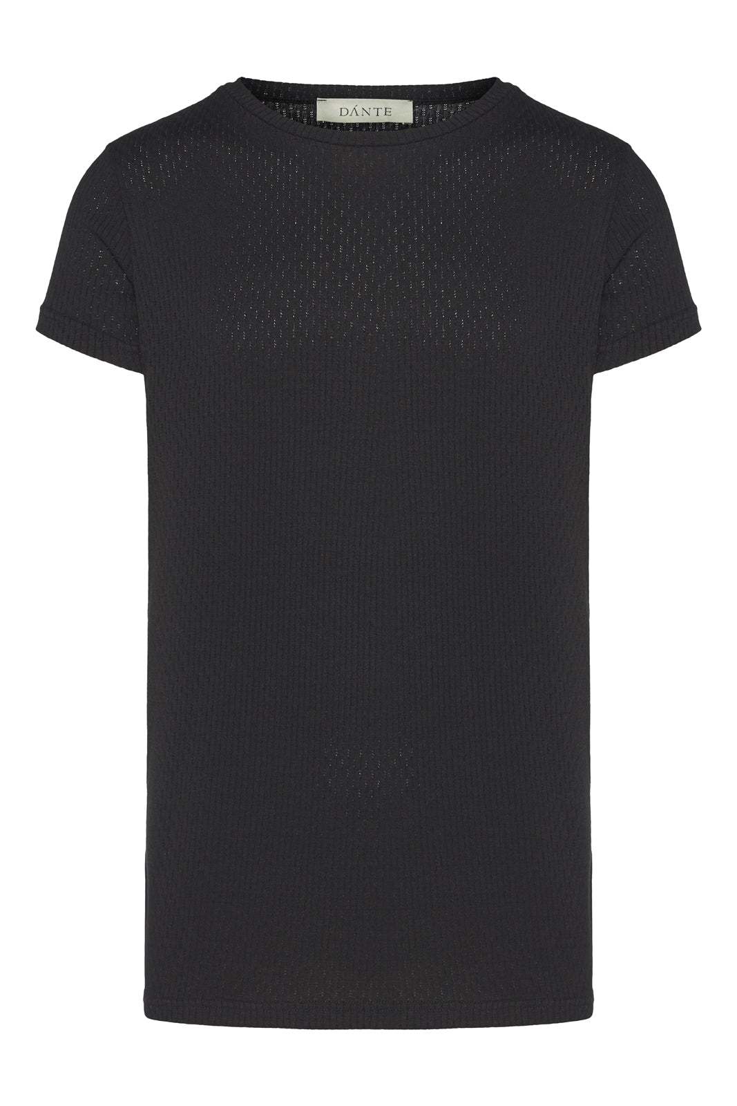 Dante_27.02.20251177_1080x